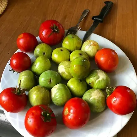 Apartment Διαμέρισμα με πανοραμική θέα στη θάλασσα&ιδιωτική παραλία